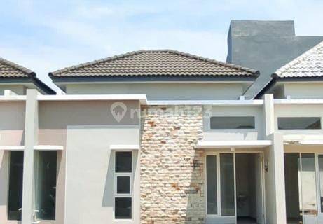 Rumah Sewa Murah Baru Gress 1