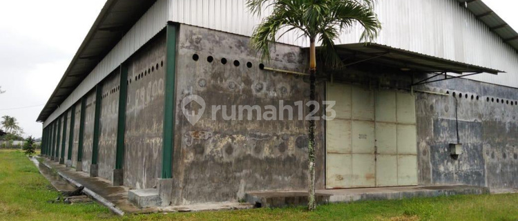 Gudang + Rumah Di Jalan Raya Utama Lintas Kota Srono Banyuwangi Luas Gudang 6360m2 Luas Rumah 4377m2 1