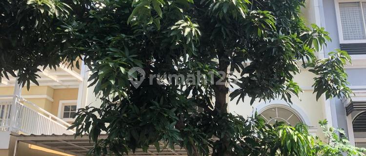 Disewa Rumah Pik Bgm 3Lt Uk 8X18 M² At Jakarta Utara 1