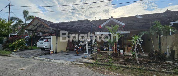 rumah minimalis 1 lantai cocok untuk hunian keluarga / mesh di tengah kota 1