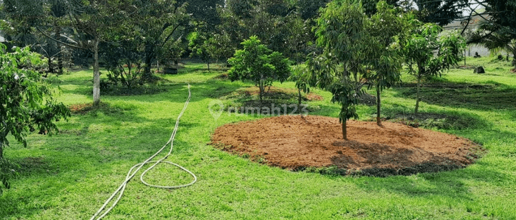 Tanah Tanjung Morawa, Sudah Tembok Keliling, SHM 1