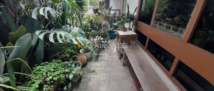 Dijual Rumah Tua Terawat Di Mainroad Cihampelas 1