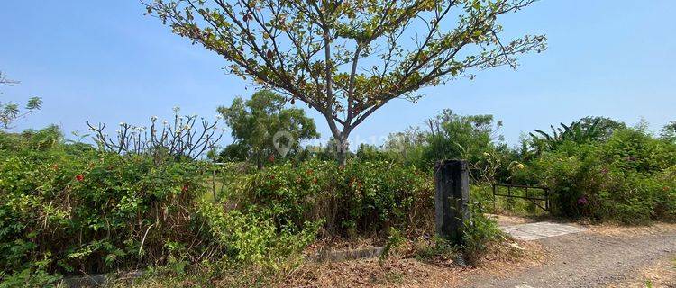 Land for sale in Bali SHM 1