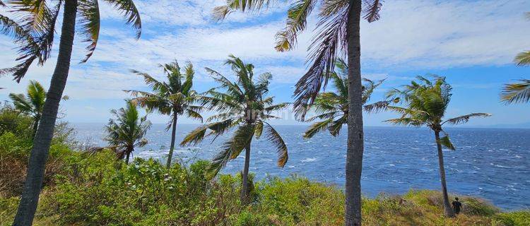 THE ONLY CLIFF FRONT PLOT IN NUSA PENIDA 1