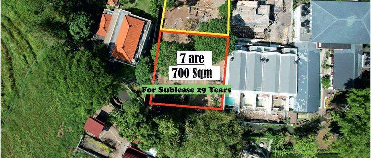 Premium Plot For Lease In The Heart Of Batu Bolong Canggu 1