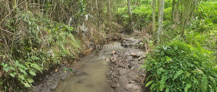 Small Plot.for Sale.near Ruster Cafe Ubud 1