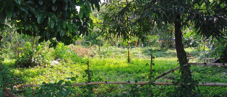 Dijual Murah Tanah di Lokasi komersil  1