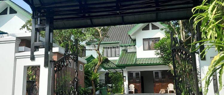 Disewakan Rumah Furnish Mewah Ada Kolam Renang Di Bogor 1