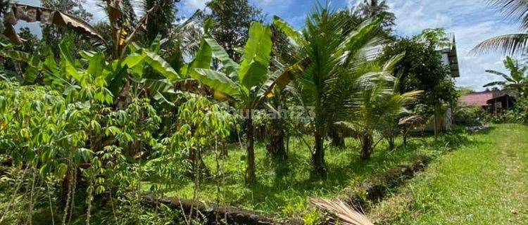 Tanah Berlokasi Strategis Dekat Tempat Wisata Alam Dedari Mengwi 1