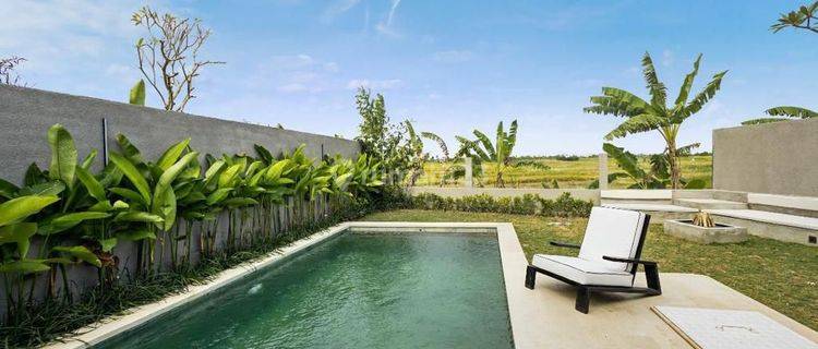 Villa Baru dengan View Sawah di Cemagi dekat Canggu 1