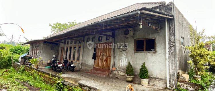 Rumah Murah Hitung Tanah di Penatih Denpasar Timur 1