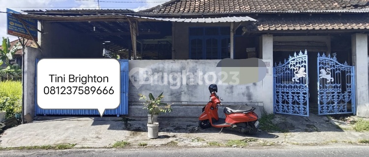 Di Jual Hunian Strategis Di Hitung Harga Tanah Saja Lokasi Angantaka Badung.  1