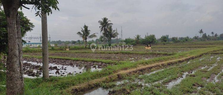 Tanah daerah ciranjang - cianjur 1