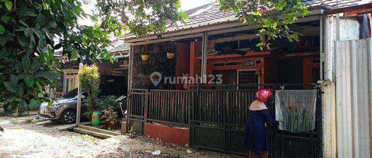 Over Rumah Gunung Sindur Tanpa Bi Ceking Hanya Ktp Kk Shm 1