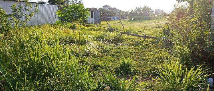 Tanah Pekarangan Disewakan Sewon Pinggir Jalan Besar Strategis Akses Mudah 1