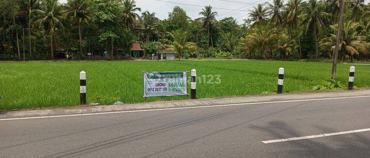 Tanah Sawah Dijual Lendah Pinggir Jalan Jalur Utama Strategis Lingkungan Ramai Dekat Rumah Sakit Bagus Untuk Kantor Gudang Atau Usaha 1