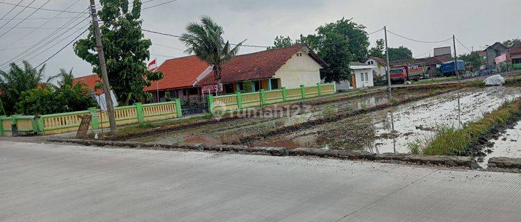 Tanah Murah Wonoayu Sidoarjo Desa Sumberejo ( Shm ) 1