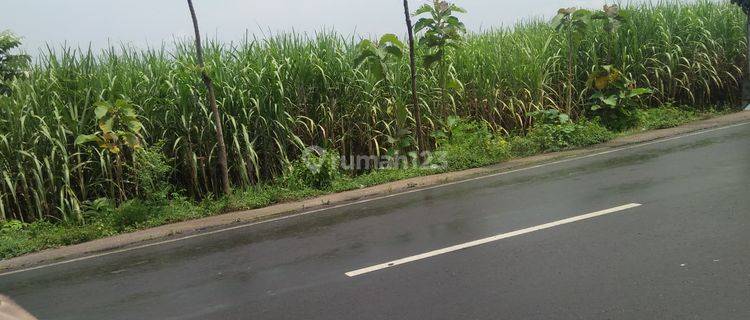 Tanah Mojokerto Zona Industri Jalan Kontener Salipan 1