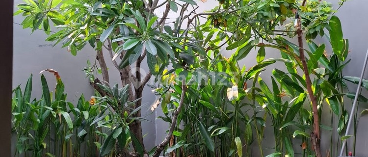 Rumah Cluster Terdepan Citraland Quenstown (ME) 1