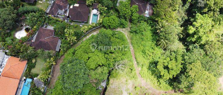 Tanah di Jln sayan ubud 1