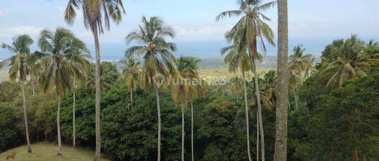 Tanah selemadeg barat Tabanan bali 1