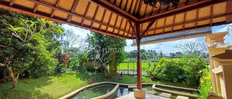 Villa for sale on Jalan Kemenuh Ubud 1