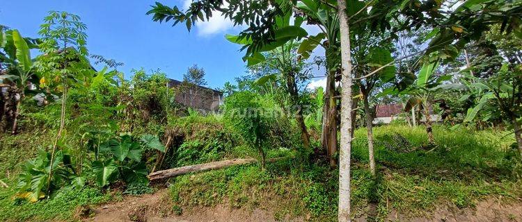 Tanah murah zona kuning pejeng kawan cocok untuk villa 1