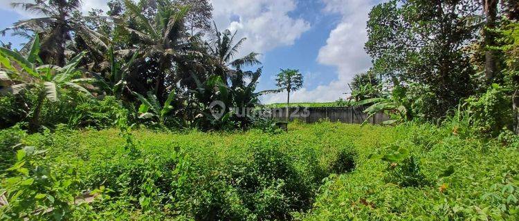 Tanah Bagus Cocok Untuk Villa Dan Rumah Tinggal Dekat Ke Pusat Ubud  1