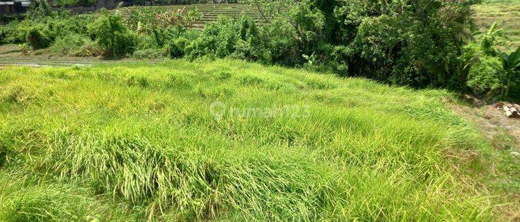 LAND FOR RENT NEARBY MUNGGU BEACH 1