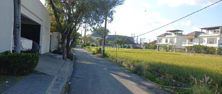 Land For Rent Jalan Pantai Cemagi River View And Rice Field 1