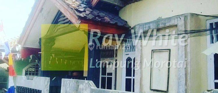 Rumah Bonus Kontrakan di Kalianda 1