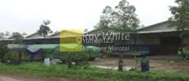 Dijual Tanah + Bangunan di Natar, Lampung 1