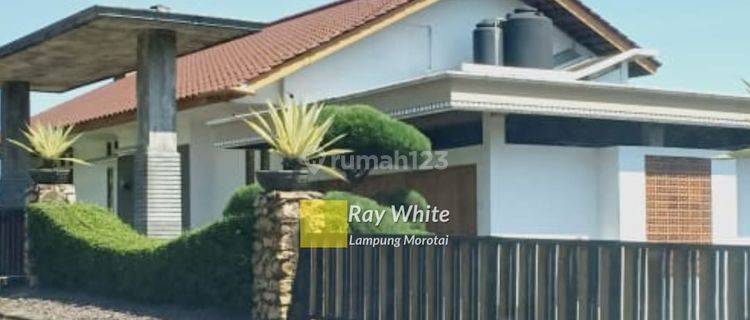 di  area rumah untuk villa 1