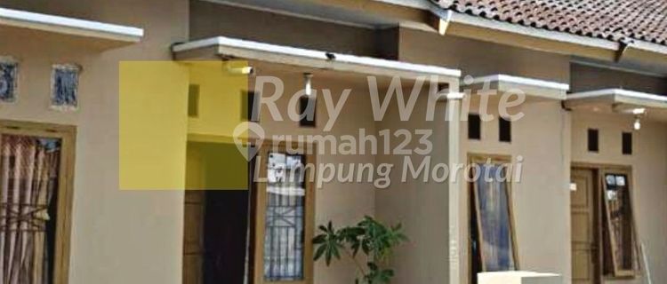 di jual kontrakan atau bedeng murah 1
