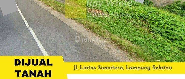 tanah luas murah di pinggir jalan lintas sumatra 1