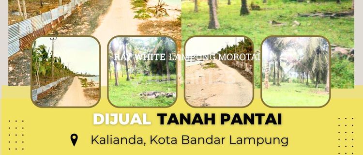 DIJUAL TANAH KEBUN KELAPA BERIKUT TANAH TEPI PANTAI NAN INDAH DI KALIANDA 1