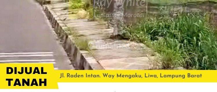 Tanah Raden Intan Liwa Lampung Barat  Cepat 1