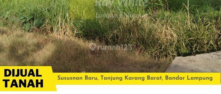 Tanah Samping Perumahan Griyo Moro  Susunan Baru  Cepat 1