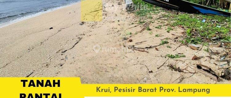 Tanah Pantai Krui Pesisir Barat 1