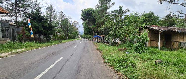 Tanah Lokasi Kawasan Wisata Harga di Bawah Pasar  1