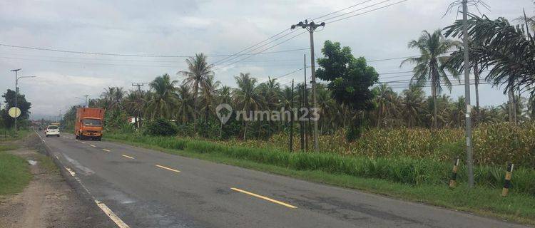 Dijual Cepat Tanah Pinggir Jalan Lintas Sumatera Lampung Selatan 1