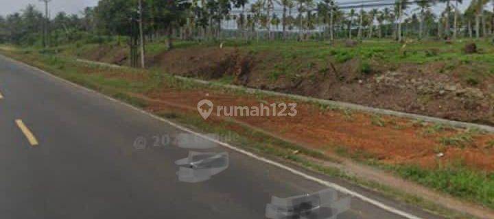 Tanah murah dipinggir Jalan TranS Sumatera Kalianda LuaS tanah 30.945 meter (3,1 ha) 1