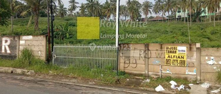 Miliki Tanah Sangat Strategis di Samping RS Bintang Amin / Kampus Malahayati 1