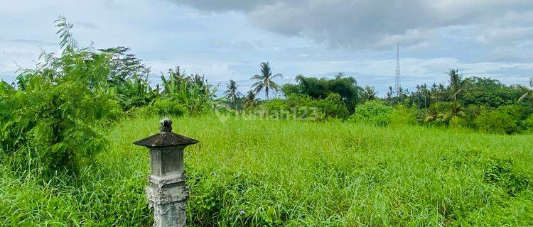 Tanah Shm Lokasi Strategis Dekat Pantai & Kota Tabanan 1