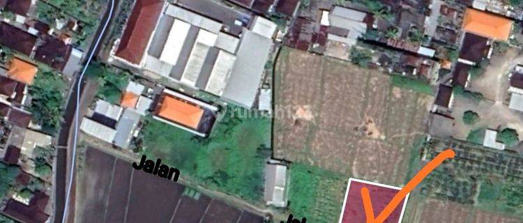 Disewakan Tanah Dekat Jalan Utama Denpasar-Gilimanuk dan Dekat RS Kapal 1