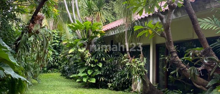 Di.jual.cepat Rumah Lama Terawat Hitung Tanah Di.jln.bangka Mampang Prapatan Jaksel 1