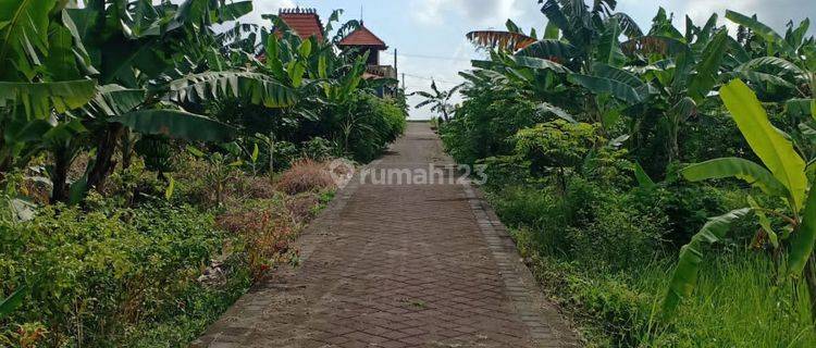 TANAH UNTUK PERUMAHAN ATAU VILLA DI MAMBAL 1