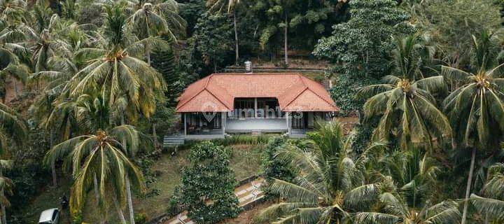 Villa luas menawan view hutan alami di Senggigi Lombok 1