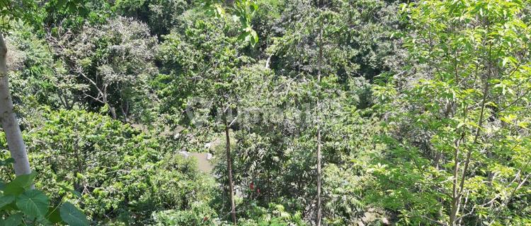 Tanah los tebing sungai petanu akses jalan pribadi di dekat Ubud 1