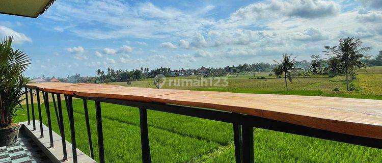 Villa view sawah sangat menawan di Singekerta dekat Ubud 1